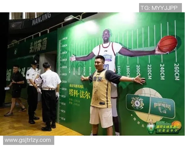 南京篮球队实力分析与赛季表现评估的深度研究与探讨