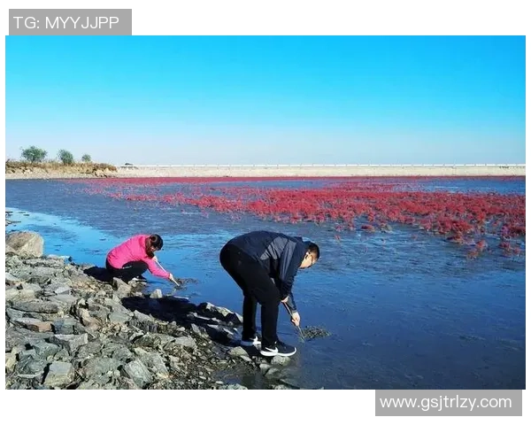 青春足球明星的追梦之路与无法回归的时光记忆